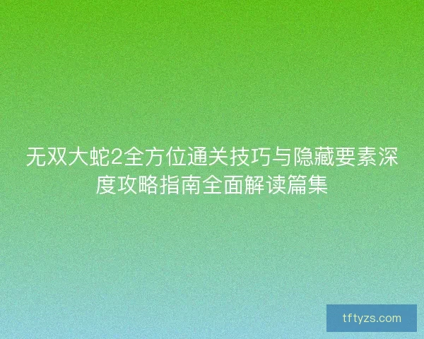 无双大蛇2全方位通关技巧与隐藏要素深度攻略指南全面解读篇集