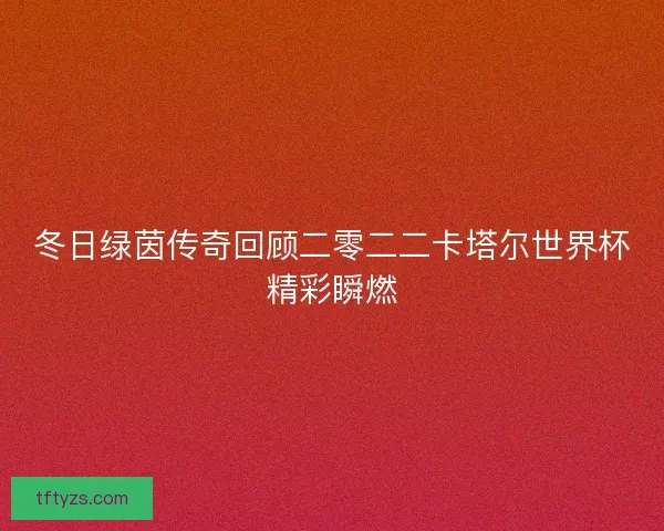 冬日绿茵传奇回顾二零二二卡塔尔世界杯精彩瞬燃 冬日绿茵传奇回顾二零二二卡塔尔世界杯精彩瞬燃